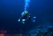 RedSea0002.jpg
