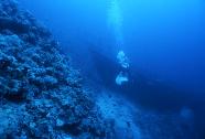 RedSea0005.jpg