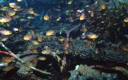 RedSea0038.jpg