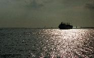 EllenRtnFalmout0009.jpg