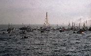EllenRtnFalmout0019.jpg