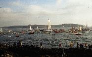 EllenRtnFalmout0024.jpg