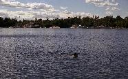 aug-sept20010008.jpg