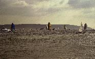 aug-sept20010020.jpg