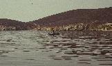 grekland20000039.jpg