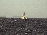 vastind20010013.jpg