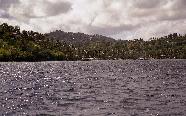 vastind20010049.jpg