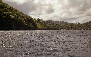 vastind20010051.jpg