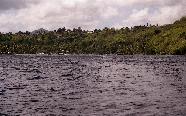 vastind20010054.jpg