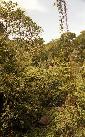 vastind20010078.jpg