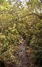 vastind20010079.jpg