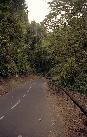 vastind20010081.jpg