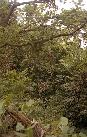 vastind20010083.jpg